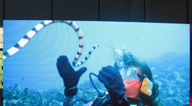 美股四次熔斷，會(huì)對(duì)室內(nèi)全彩led顯示屏行業(yè)造成怎樣的影響呢